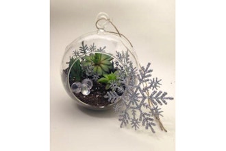 Plant Nite: Snowflake Hanging Garden